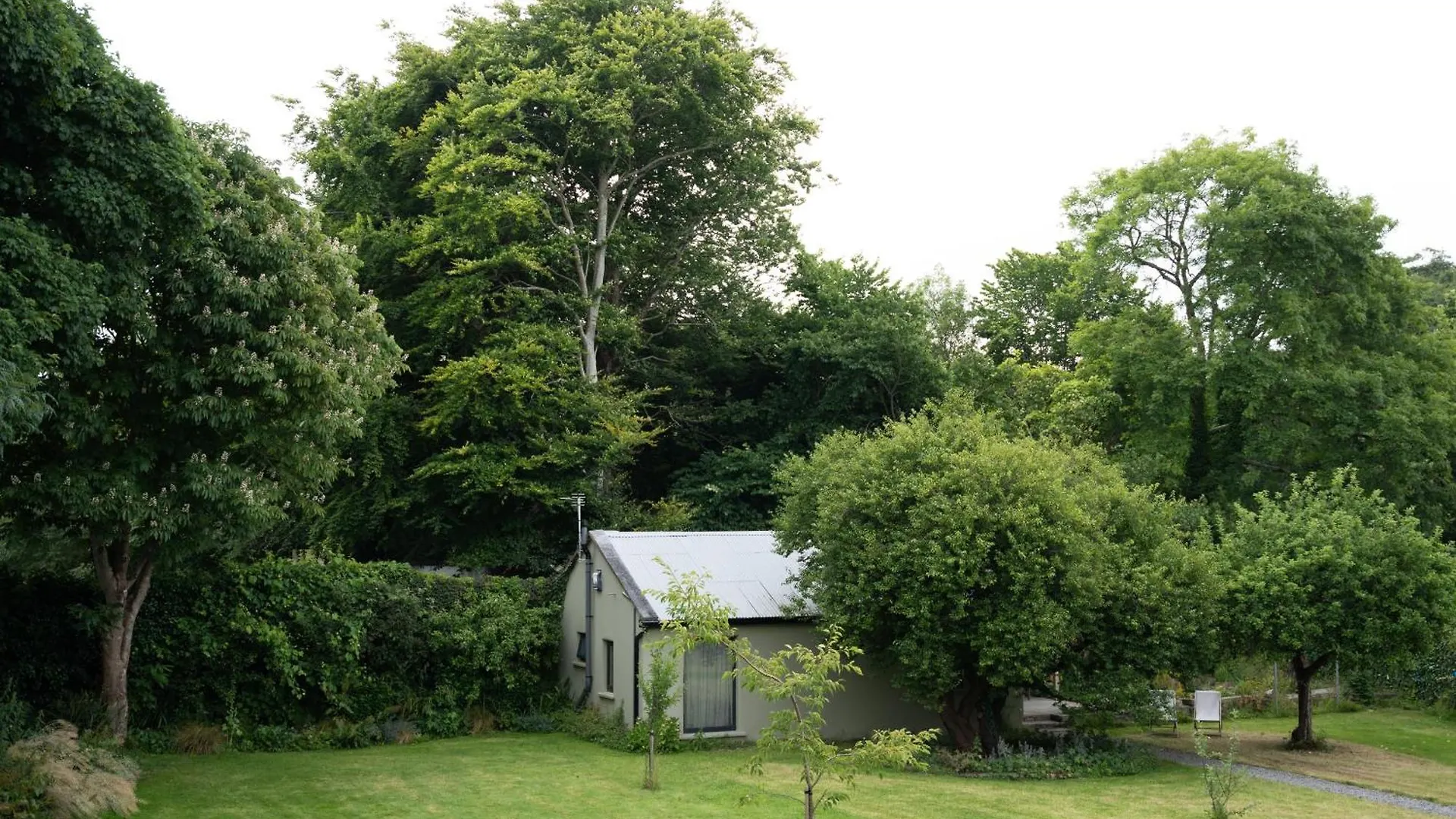 The Roost Apartment Westport